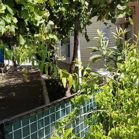 Huge Evleri 2 * 马尔马里斯