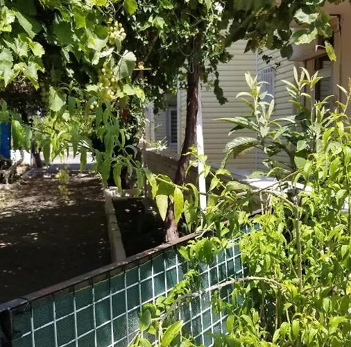 Huge Evleri 2 * マルマリス